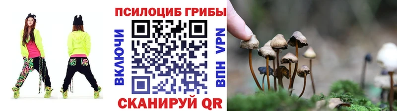 где купить наркоту  Котлас  Галлюциногенные грибы Psilocybine cubensis 